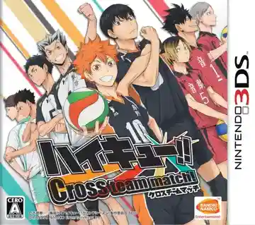 Haikyu!! Cross Team Match! (Japan)